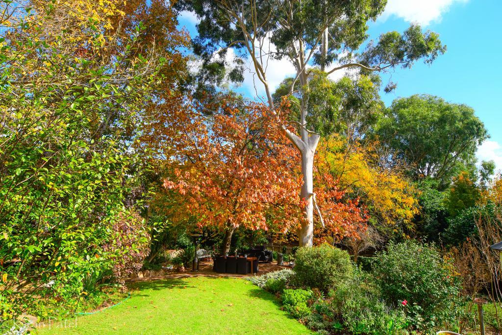 Possum Creek Lodge Gooseberry Hill Экстерьер фото
